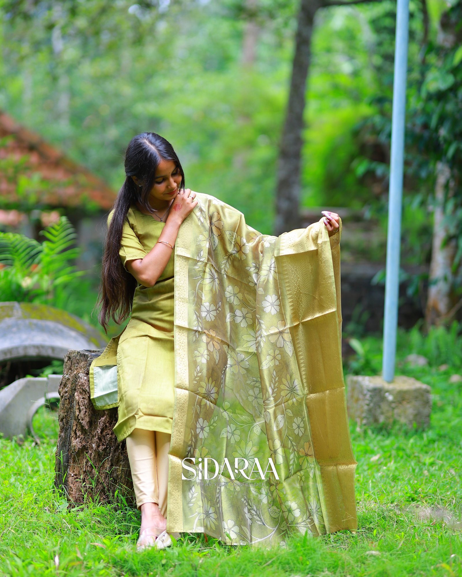Olive Elegance